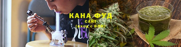 шишки Магас