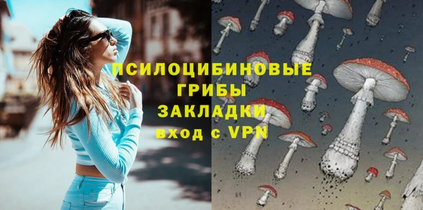 шишки Магас