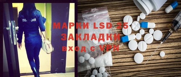 шишки Магас