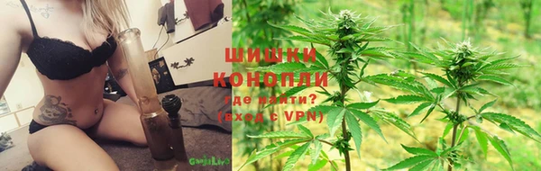шишки Магас