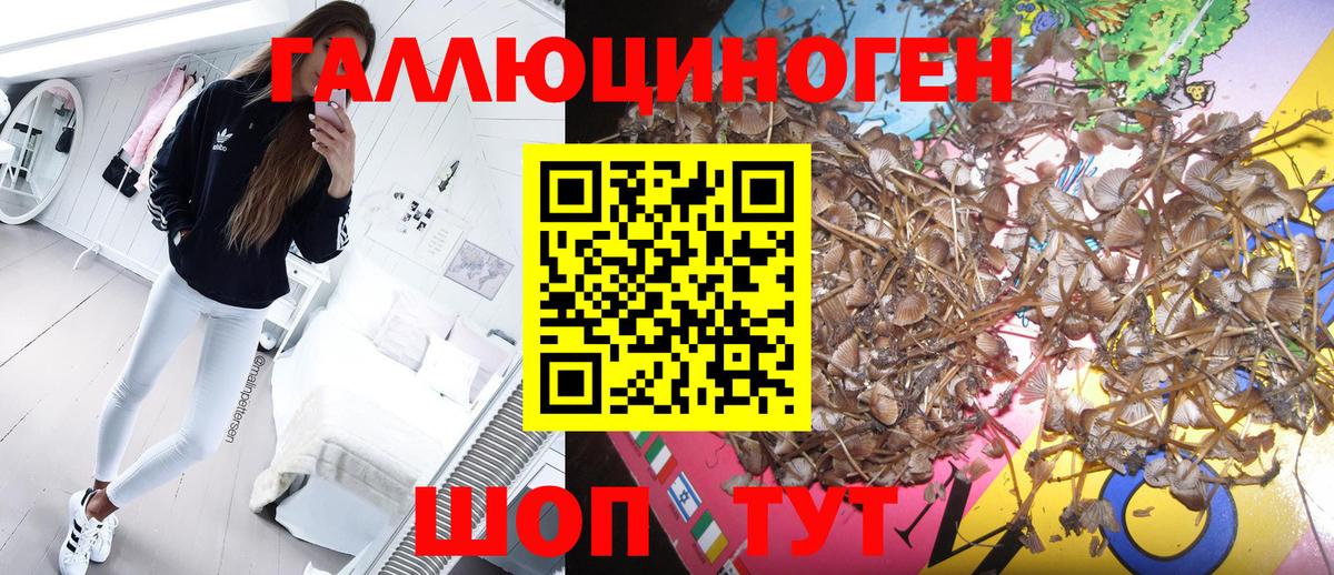 Галлюциногенные грибы мицелий Волгоград