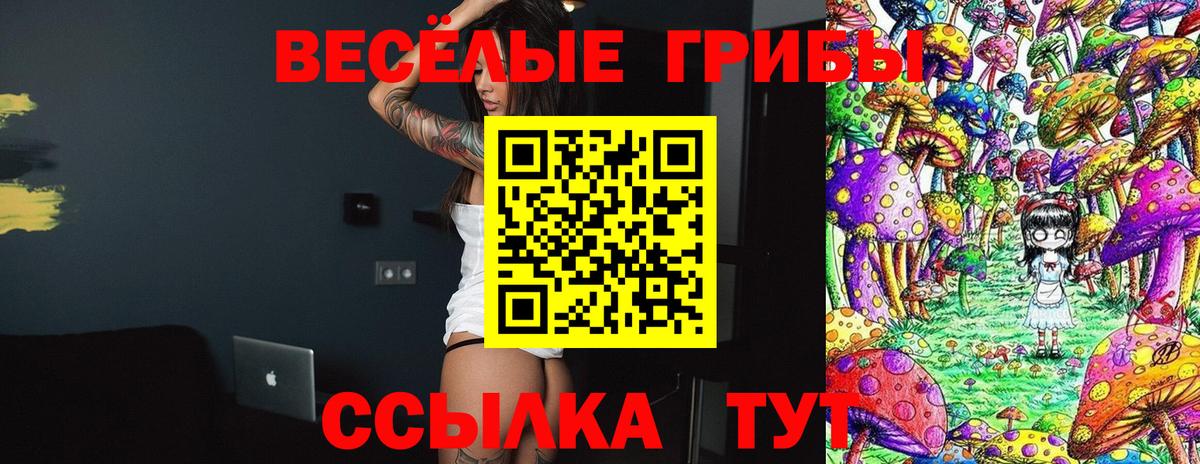 Псилоцибиновые грибы мухоморы  Вход с VPN  Псилоцибиновые грибы прущие грибы  Волгоград 