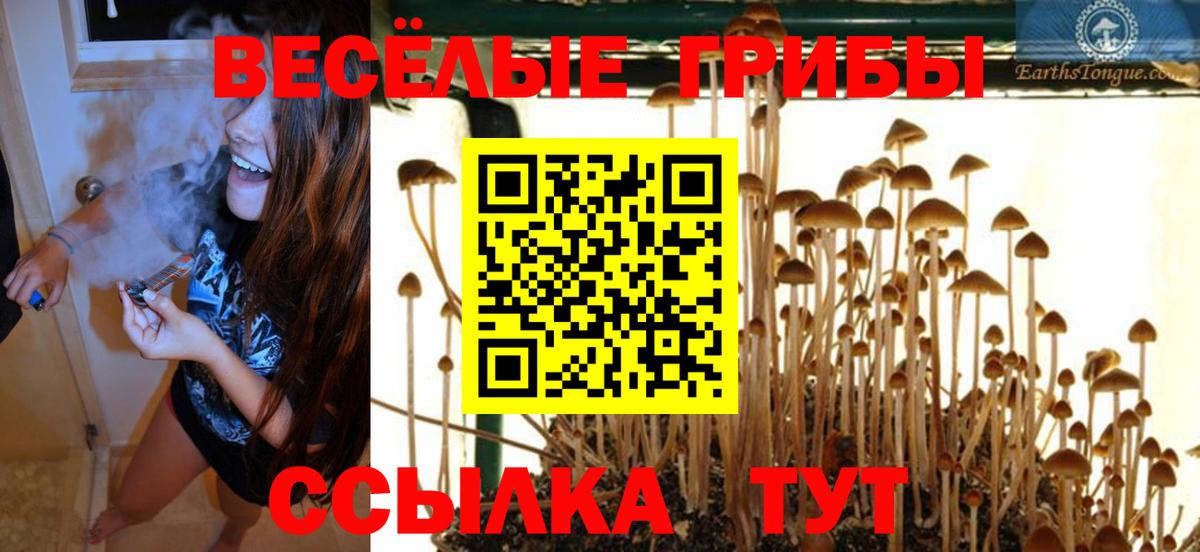 Псилоцибиновые грибы мицелий  Волгоград 