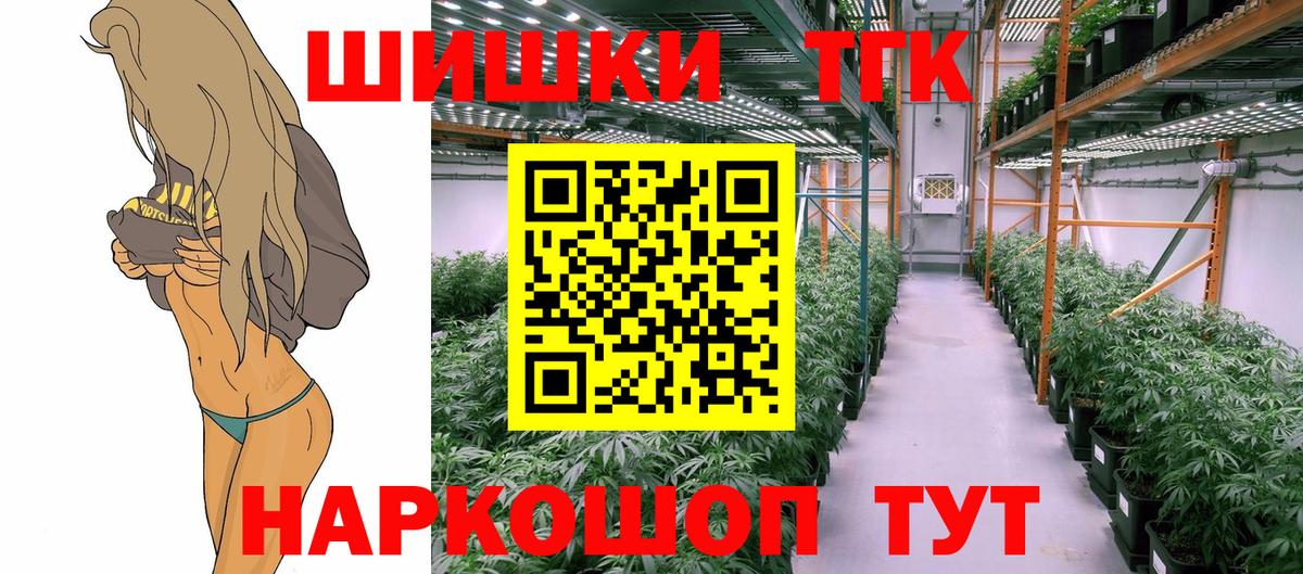 Конопля семена  Волгоград  Шишки марихуана марихуана  Бошки марихуана планчик 